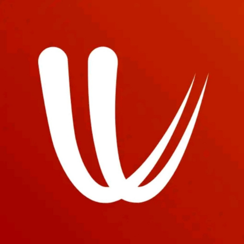 Logo de l’application Windy